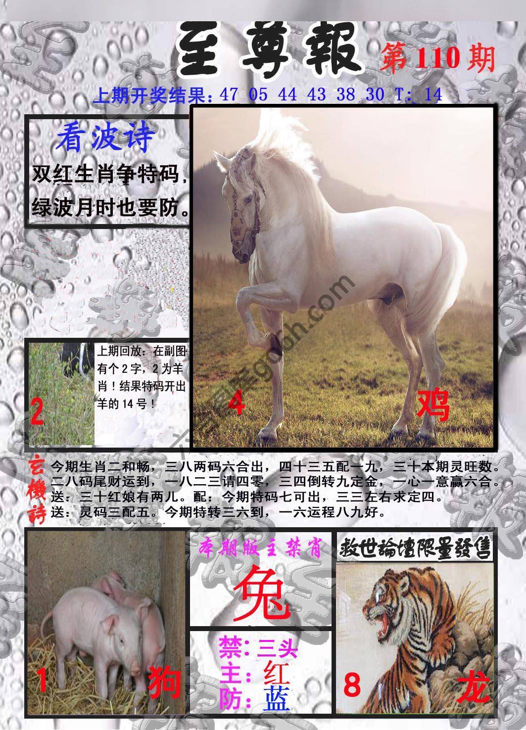 至尊报