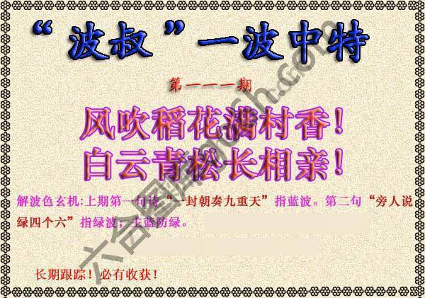 波叔一波中特