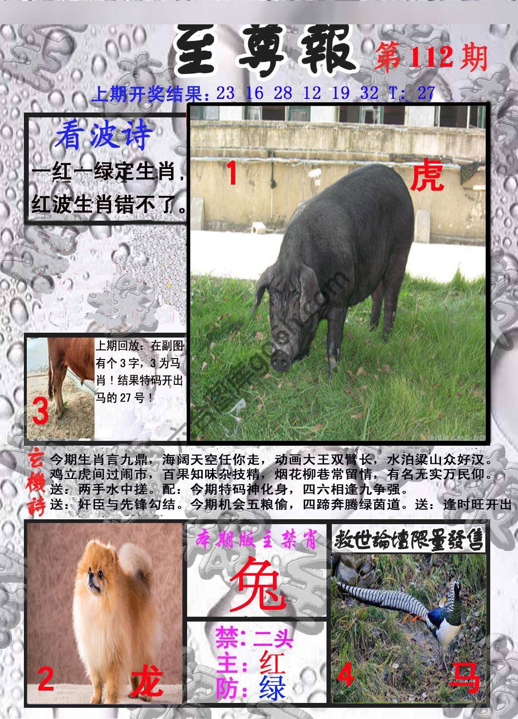 至尊报