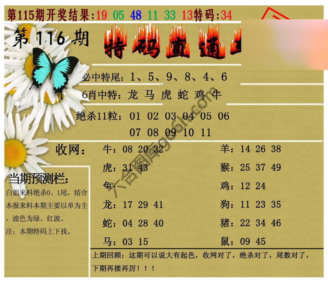 特码直通车