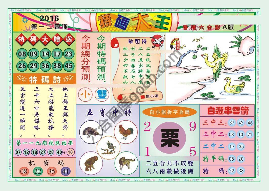 特码大王