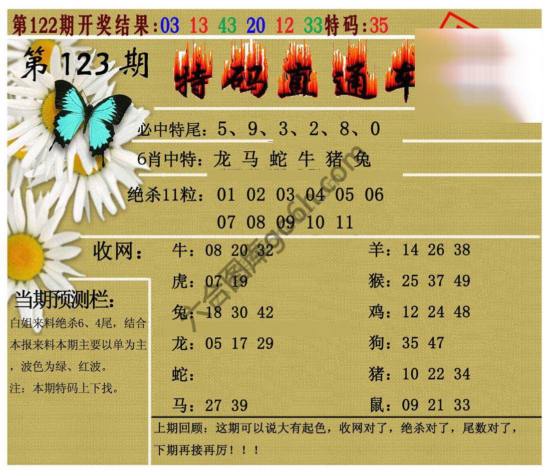 特码直通车