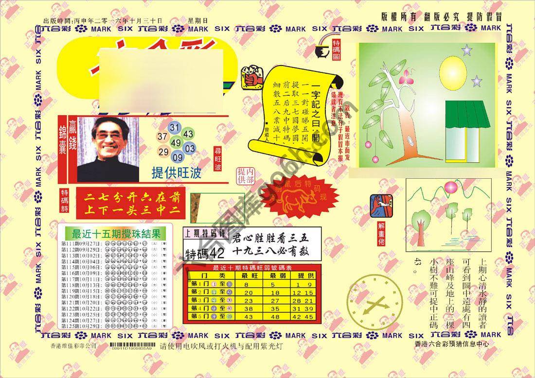 特码王