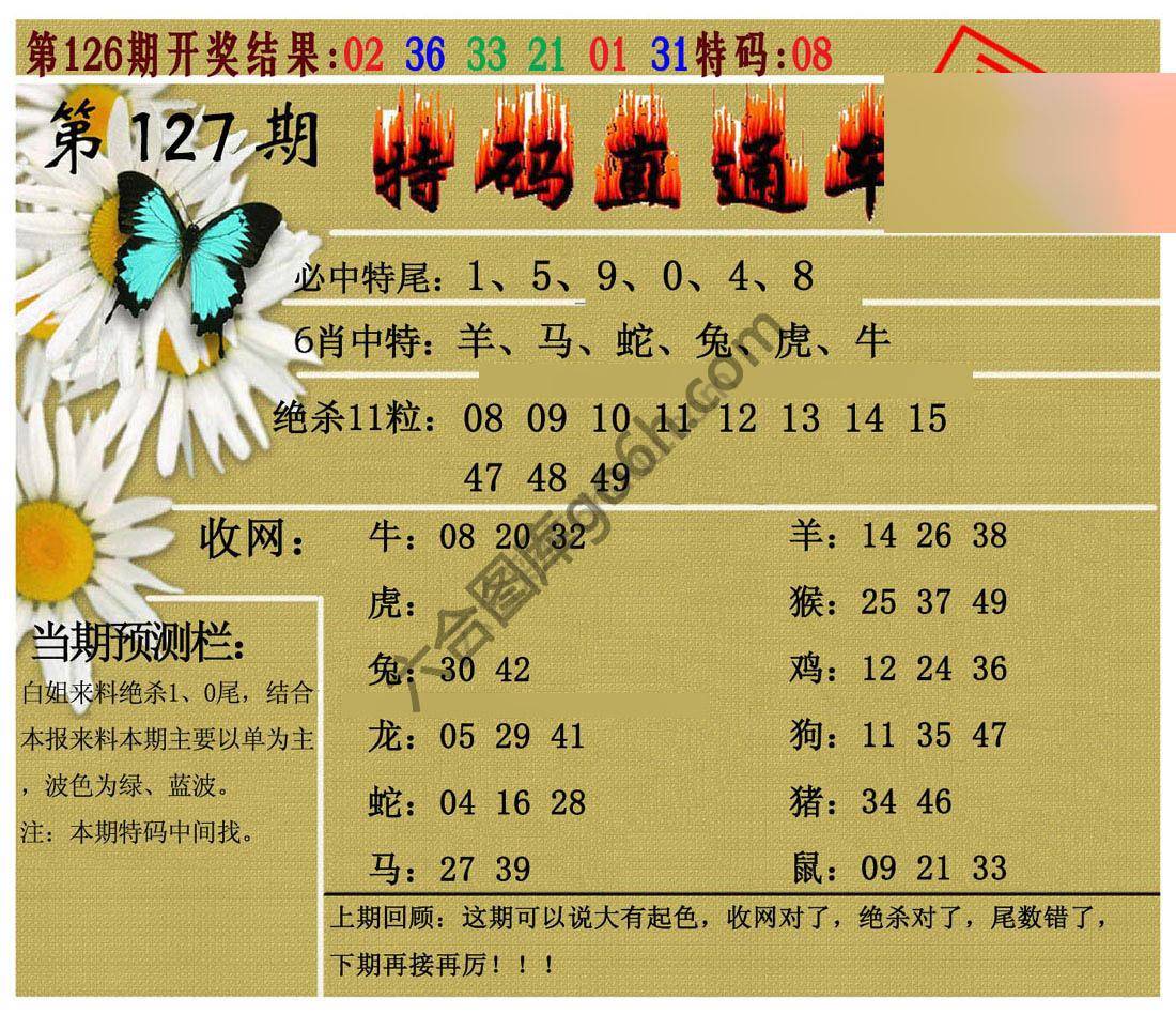 特码直通车