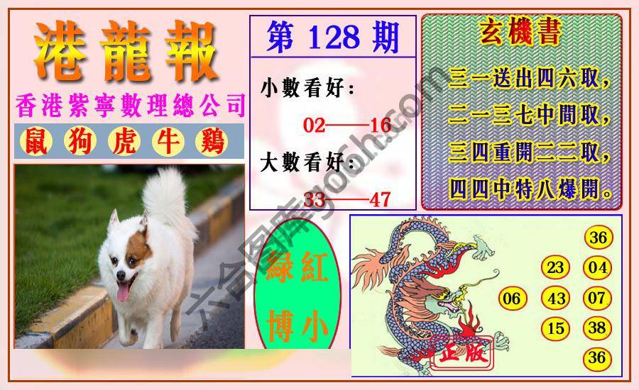 港龙报