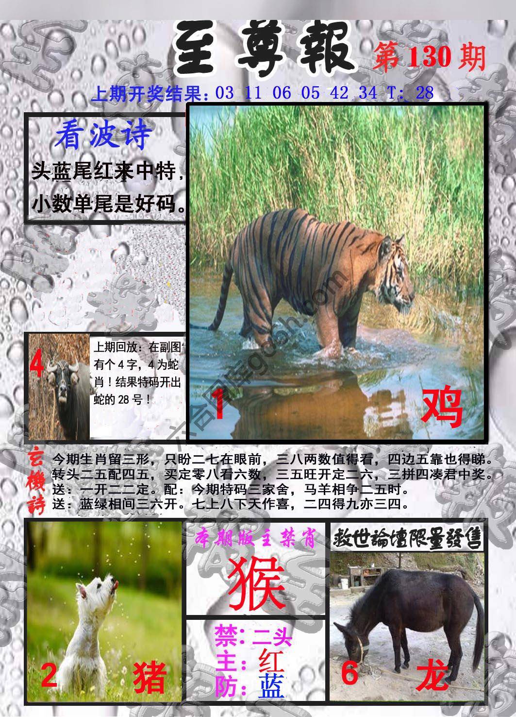 至尊报