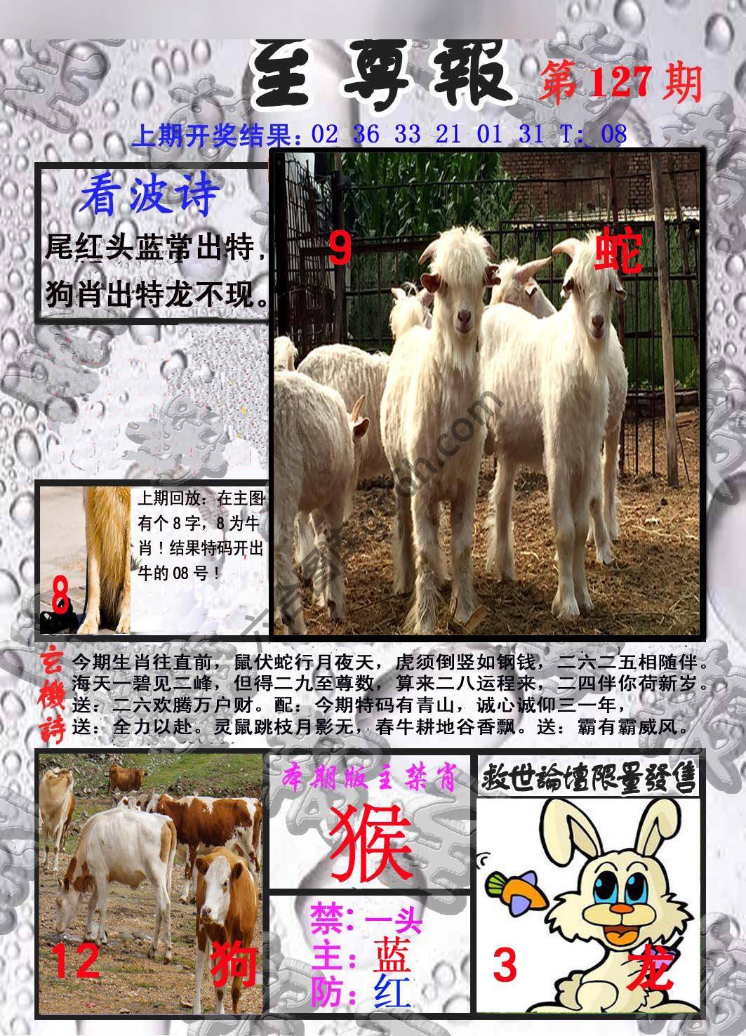 至尊报
