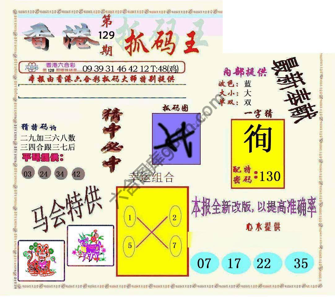 新抓码王