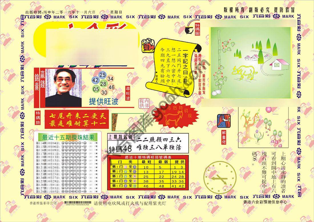 特码王