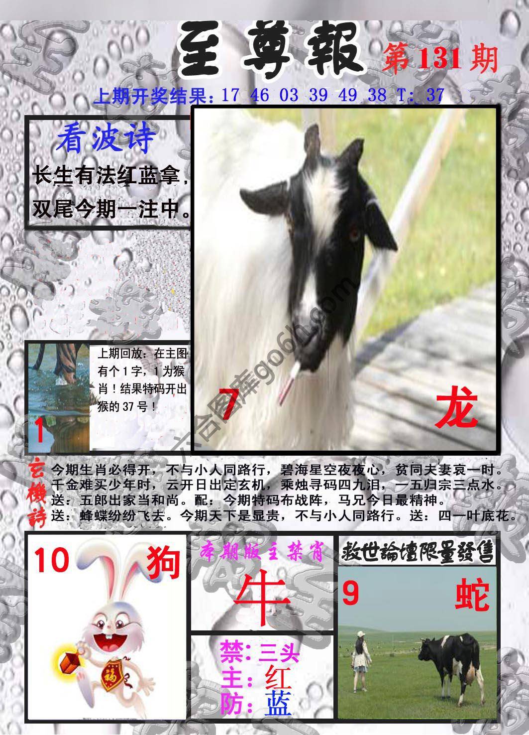 至尊报