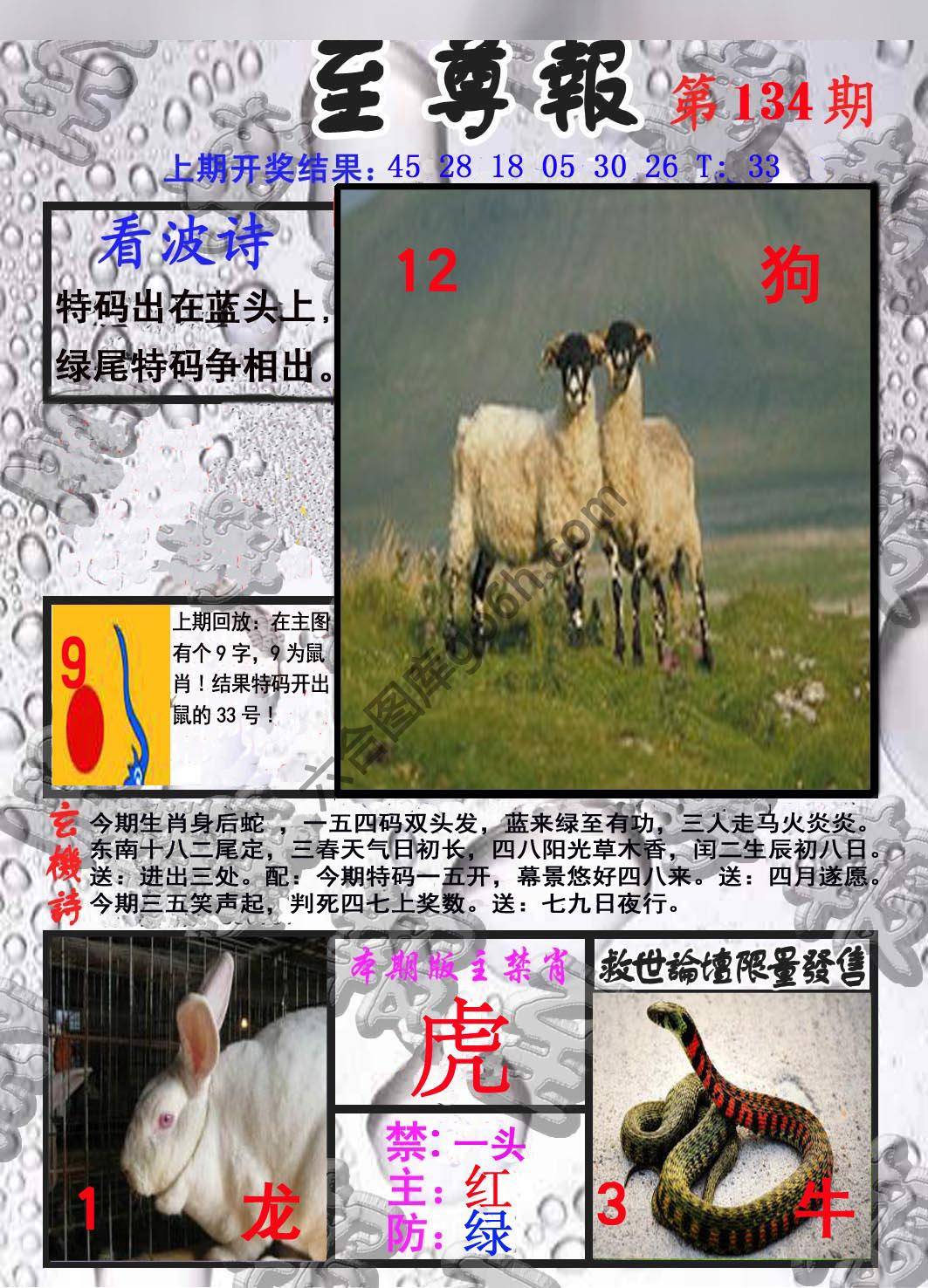 至尊报