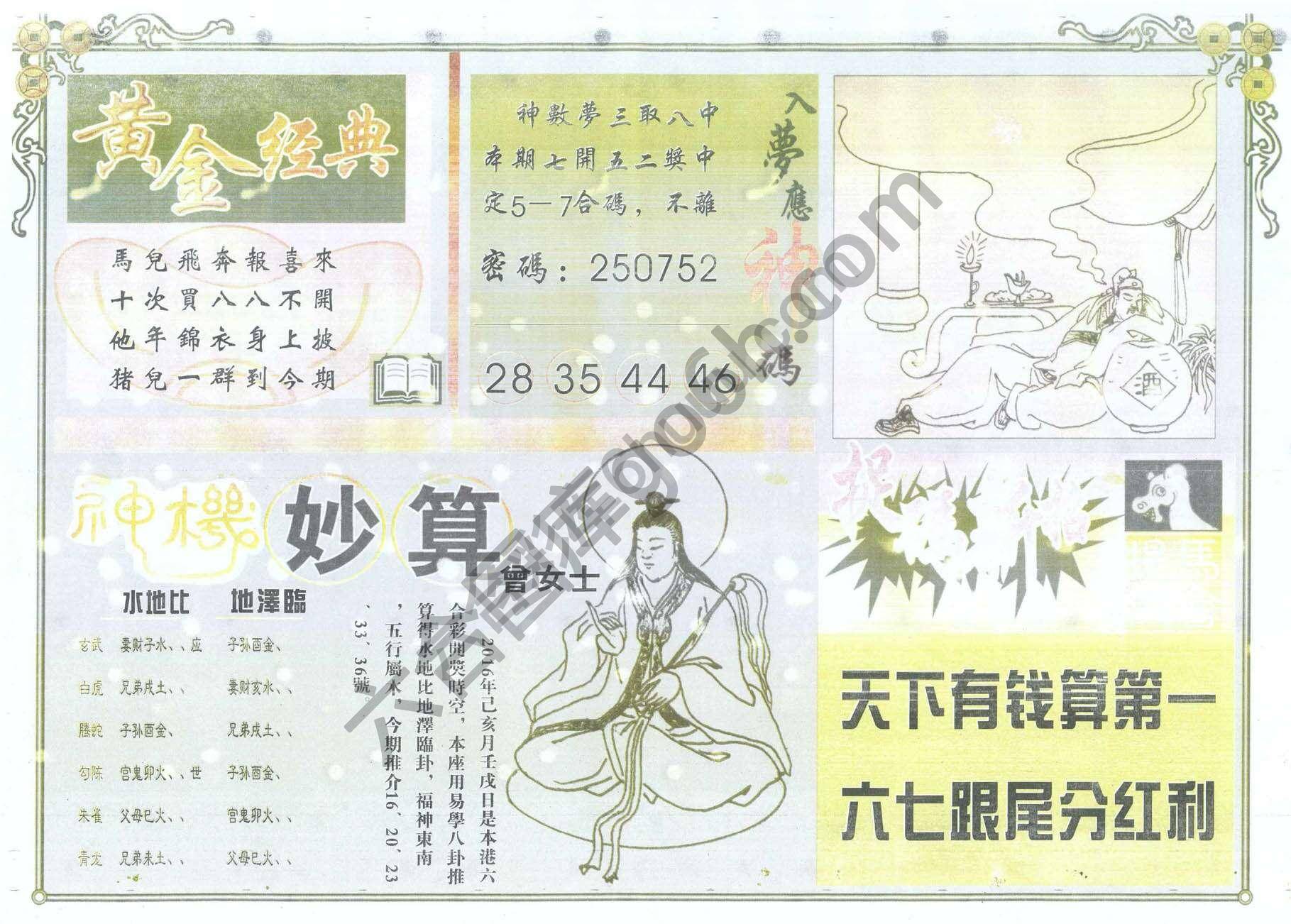 老版曾女士