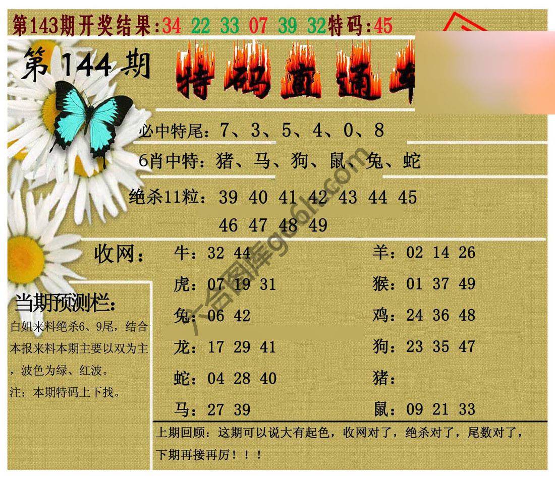 特码直通车