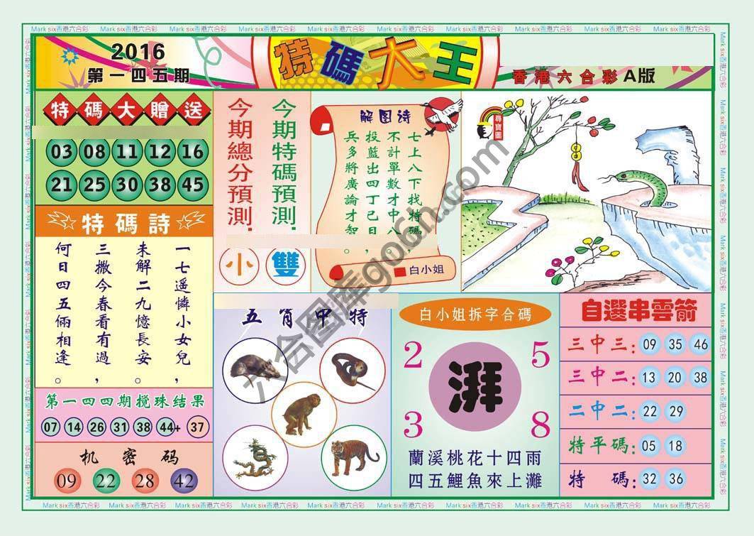 特码大王