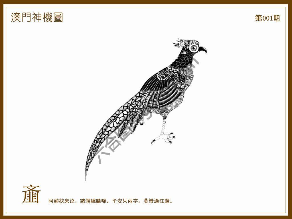 澳门神机图