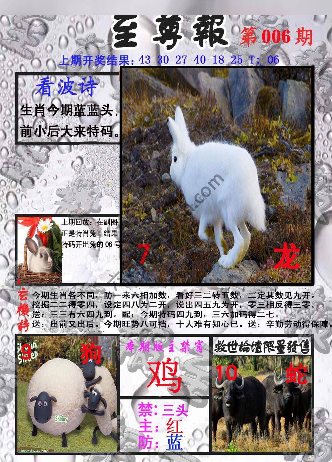 至尊报