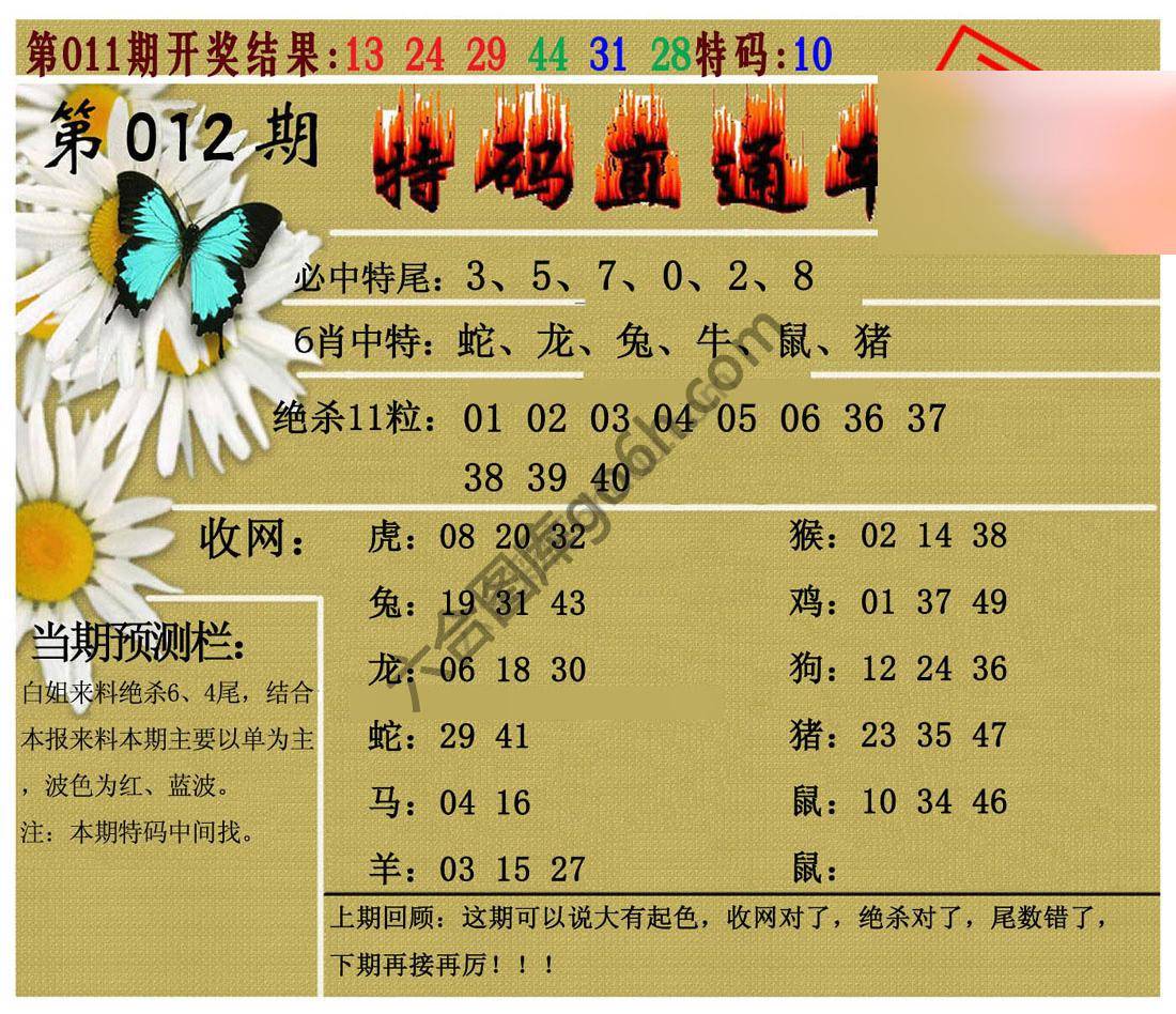 特码直通车