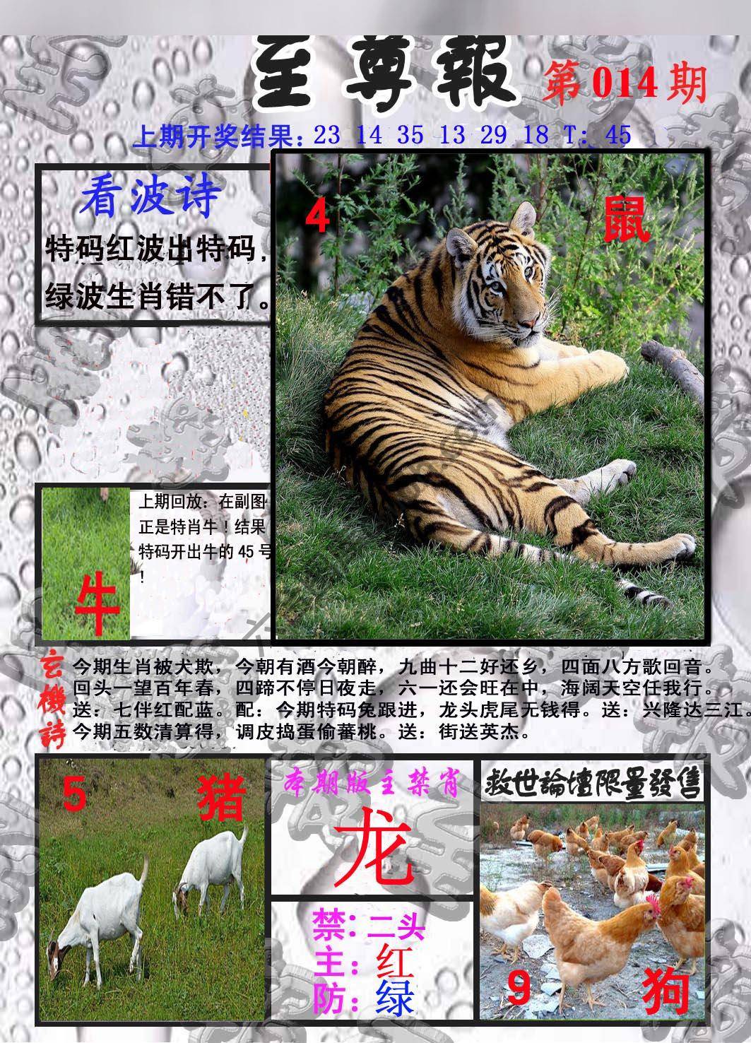 至尊报