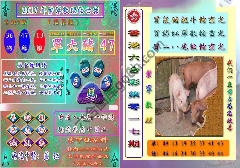 数理救世报