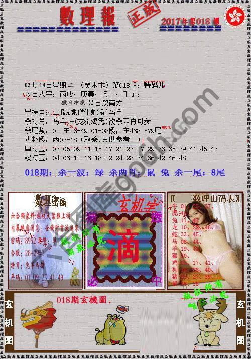 数理报