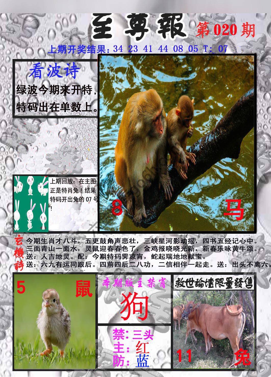 至尊报