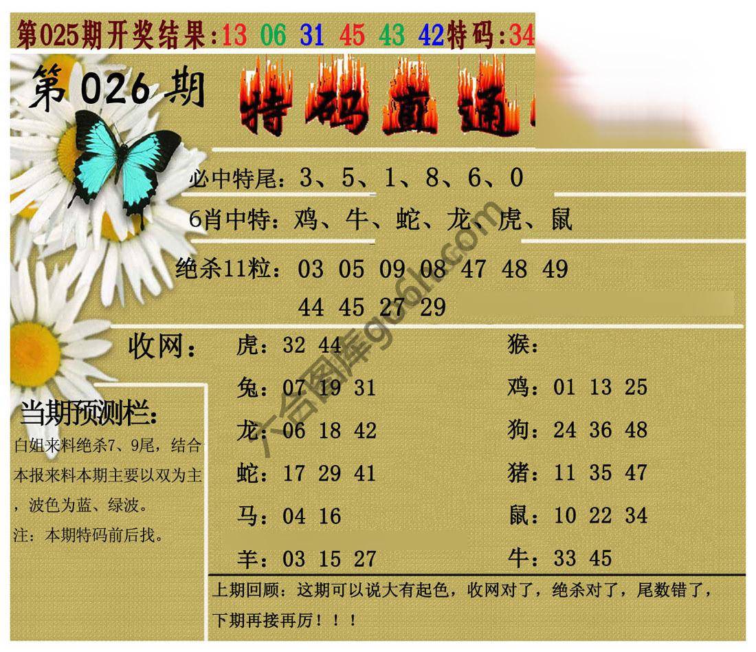 特码直通车