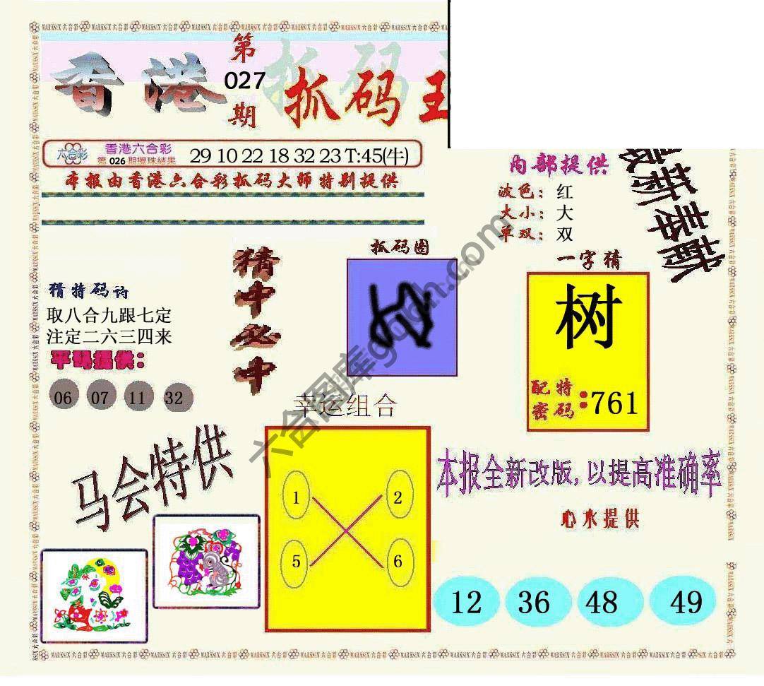 新抓码王
