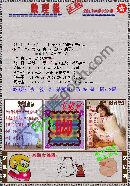 数理报