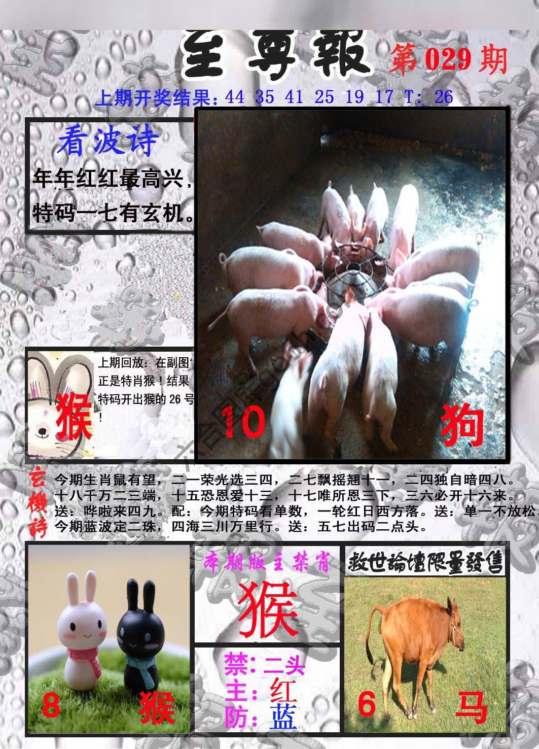 至尊报
