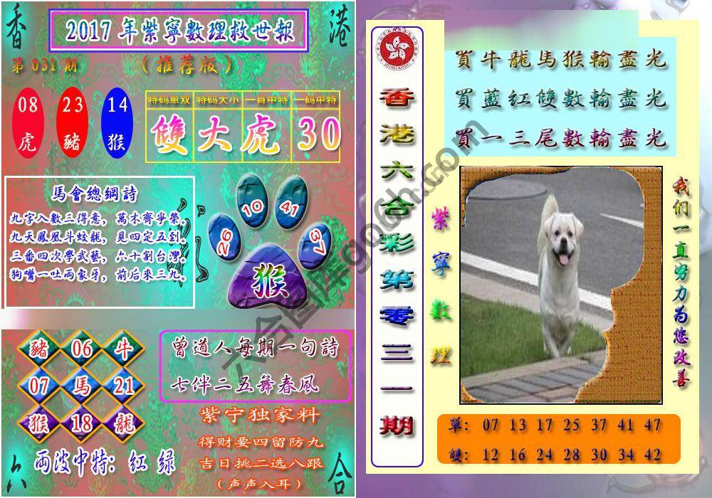 数理救世报