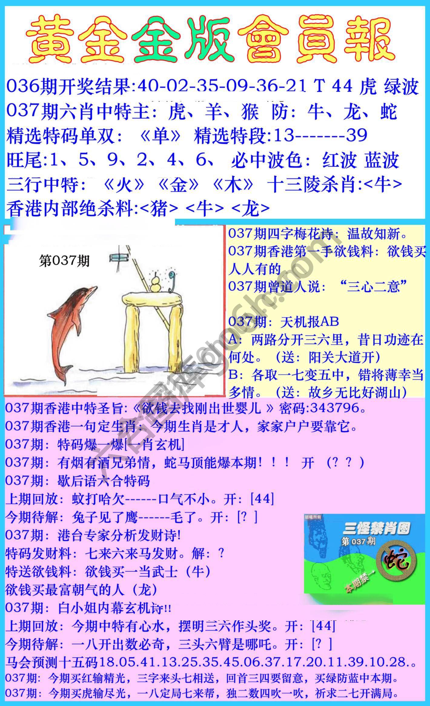 黄金金版会员报