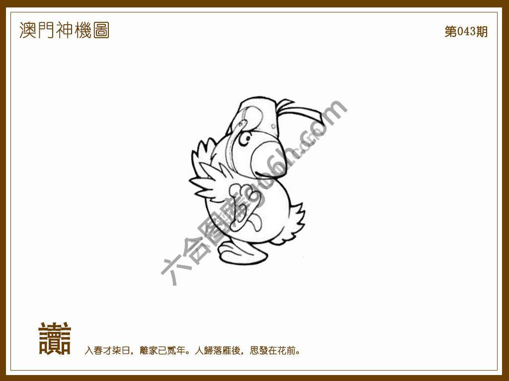 澳门神机图