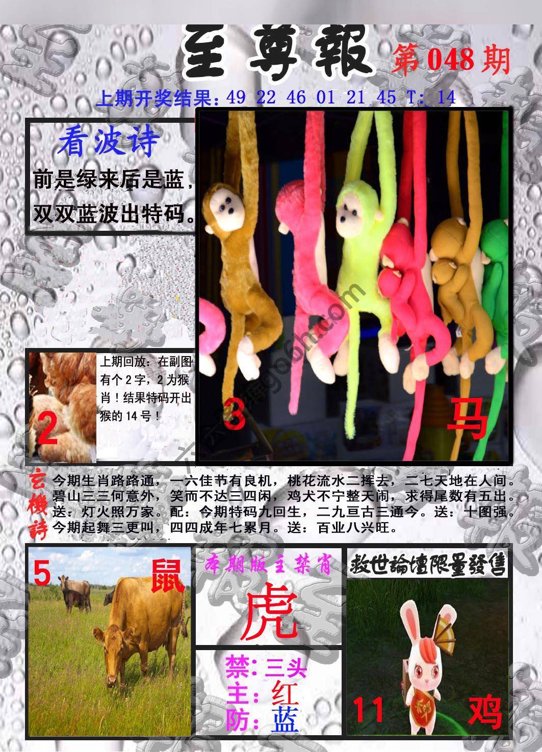 至尊报