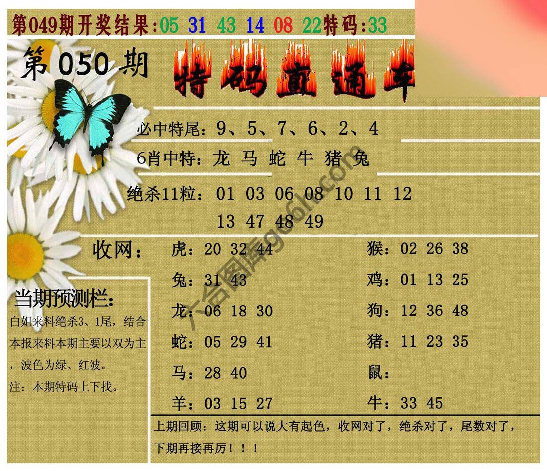 特码直通车