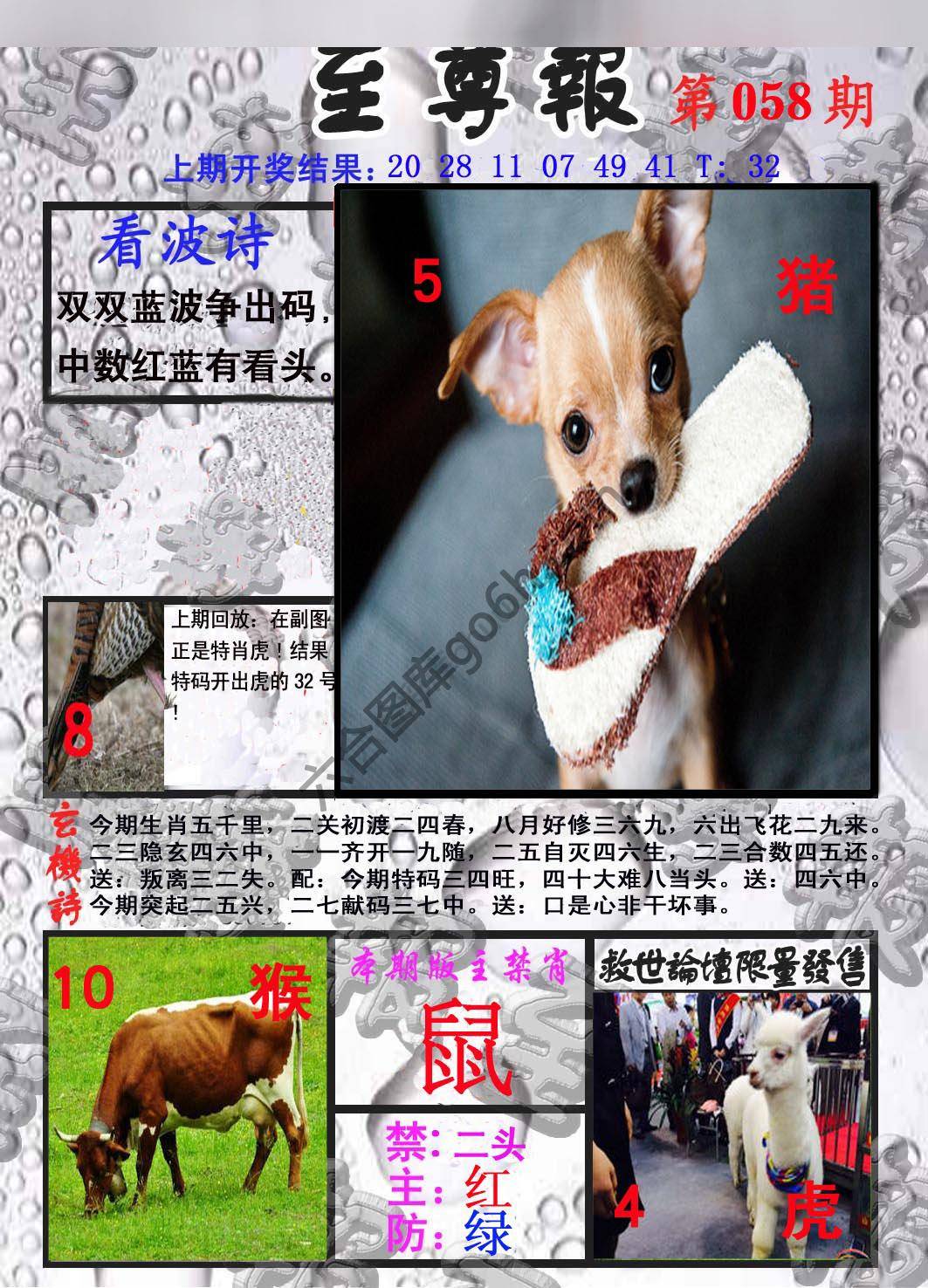 至尊报