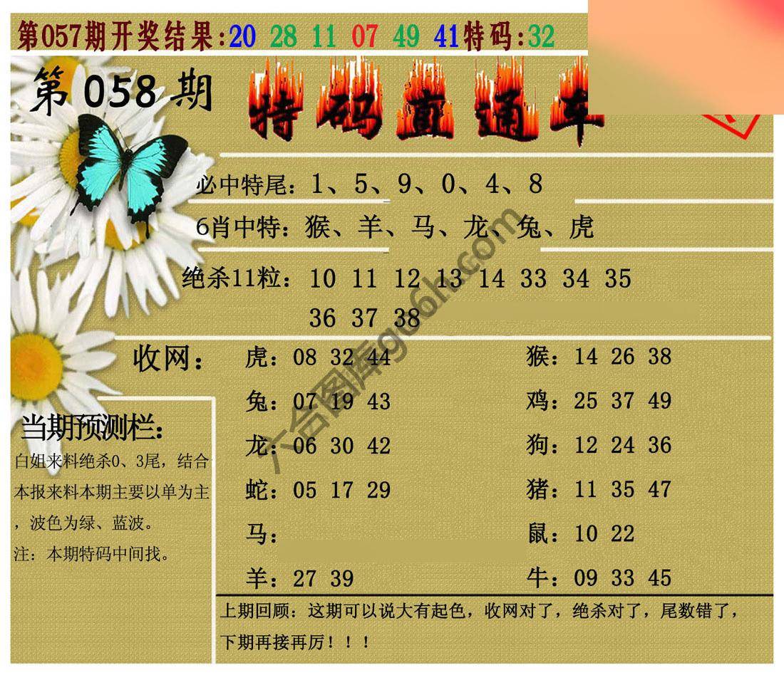 特码直通车