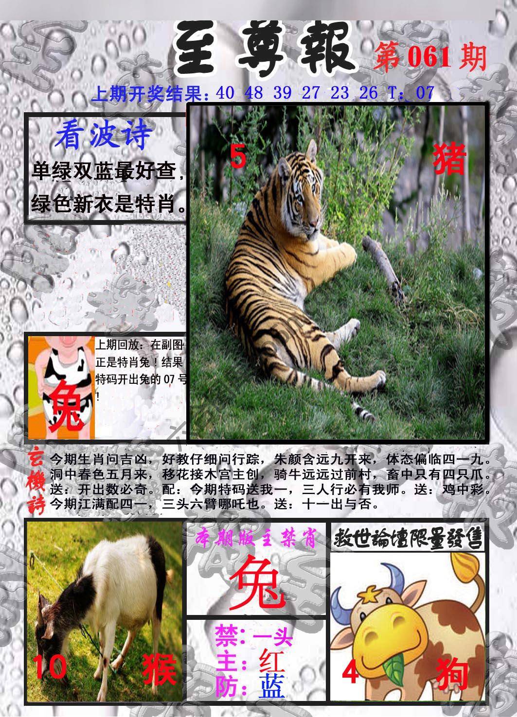 至尊报