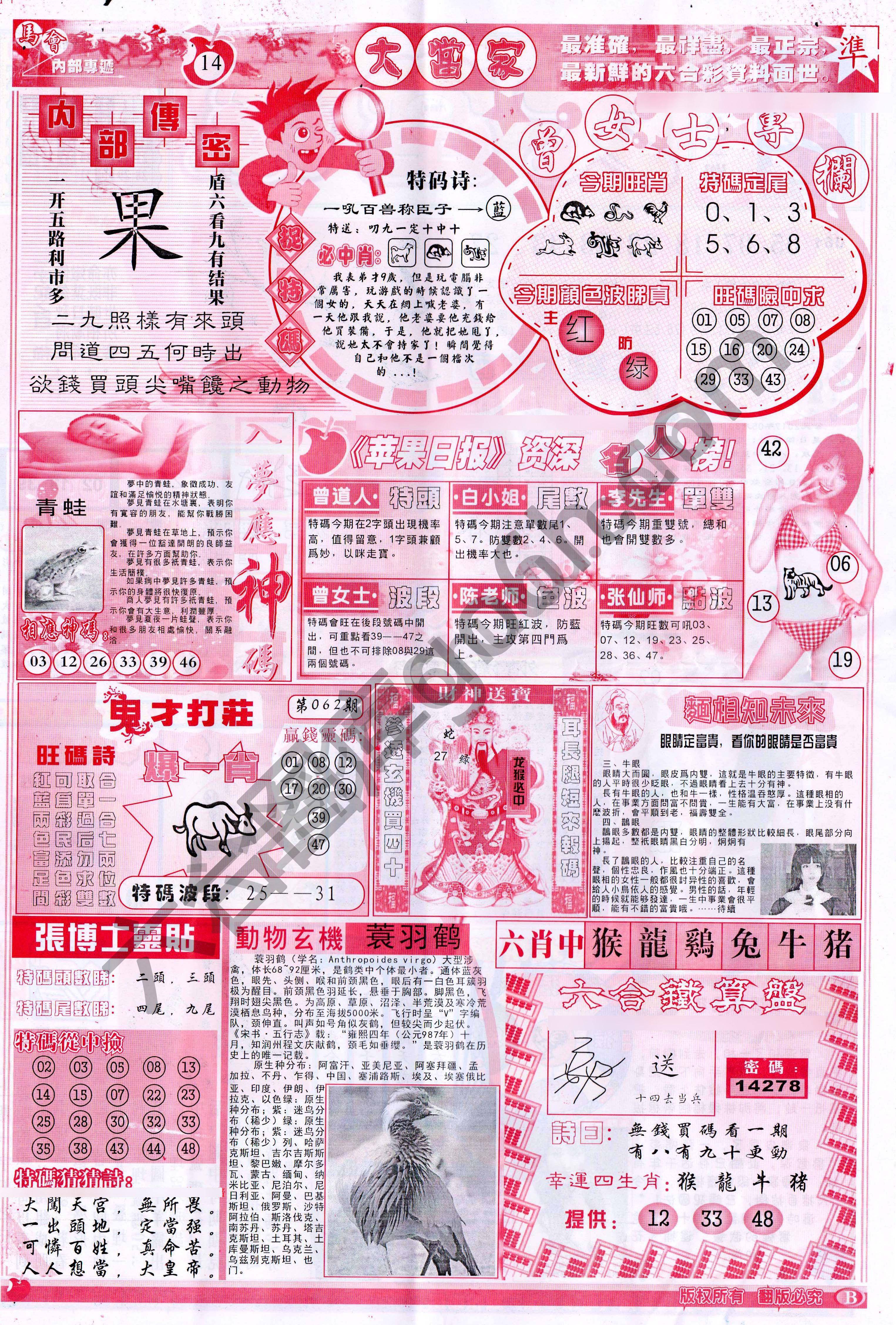 大当家