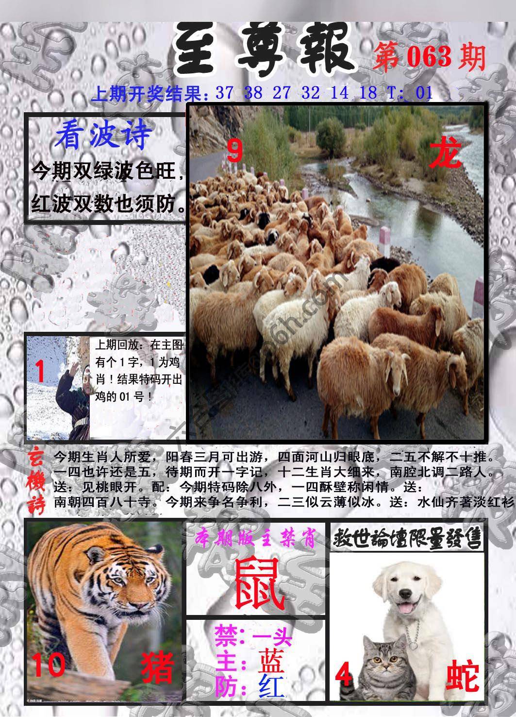 至尊报