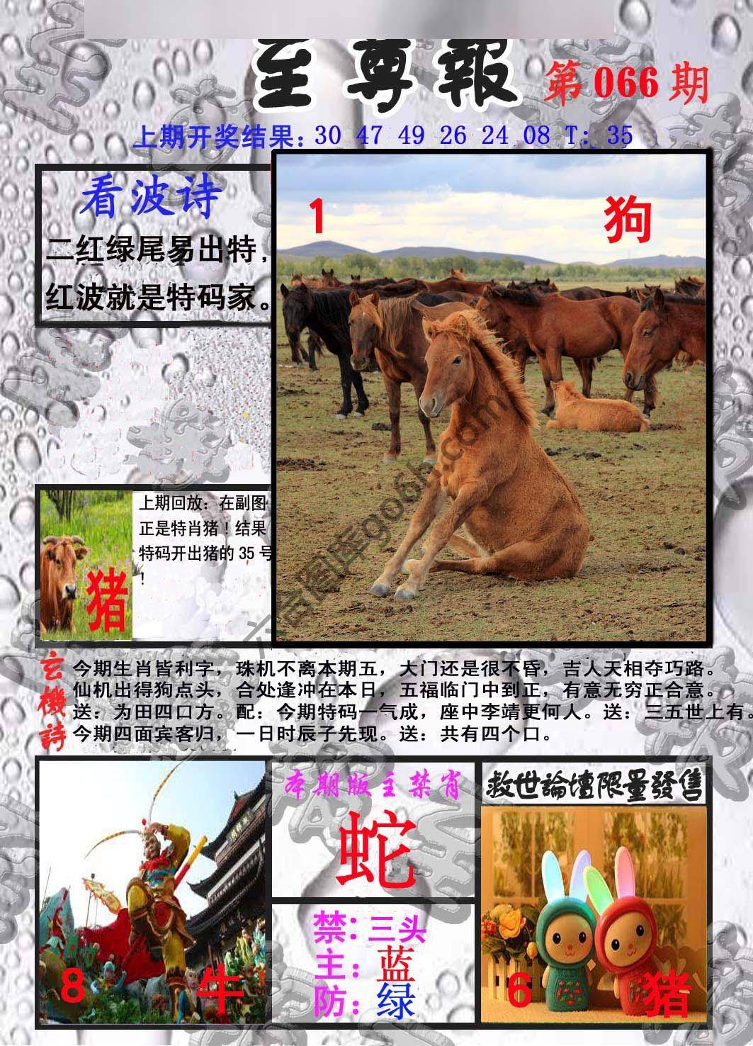 至尊报