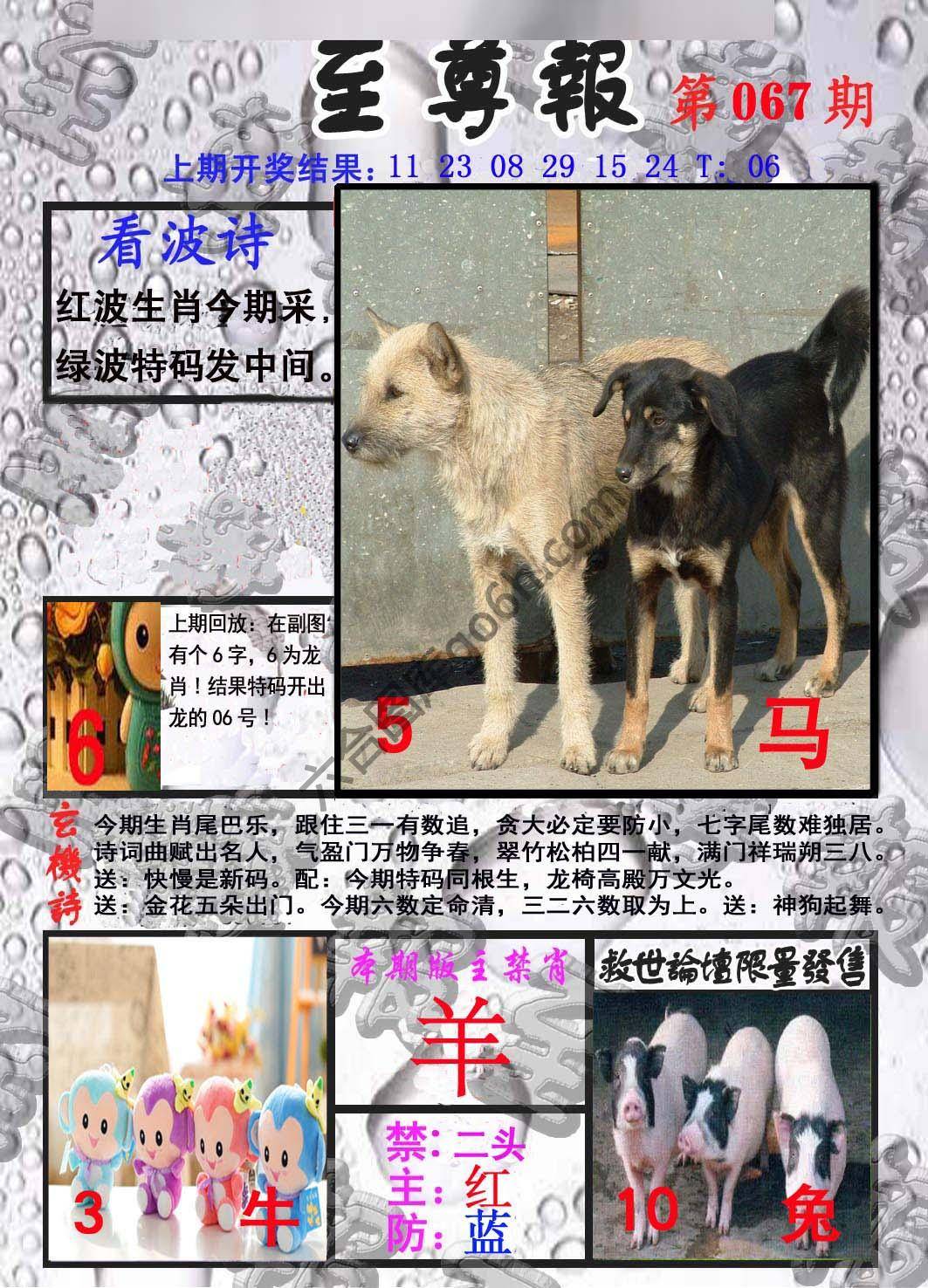至尊报