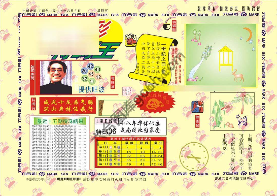 特码王