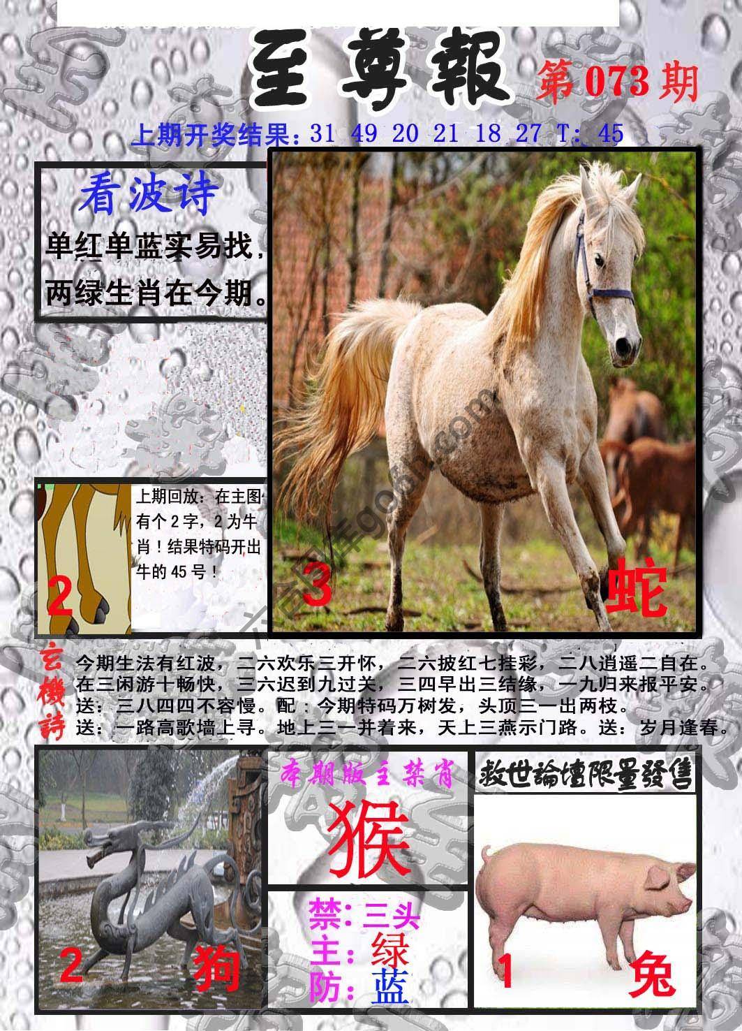 至尊报