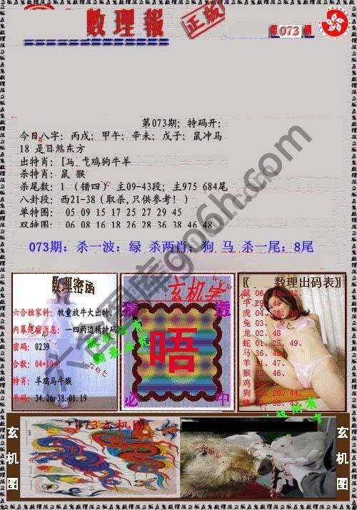 数理报
