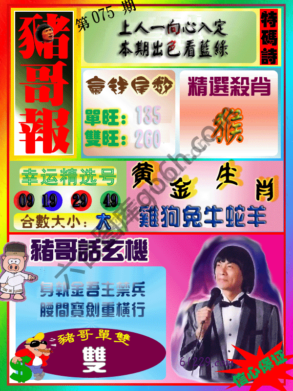 猪哥报