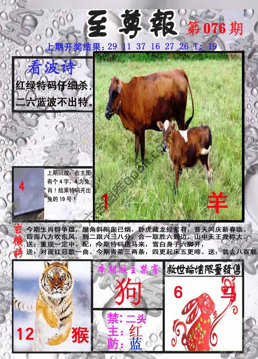 至尊报
