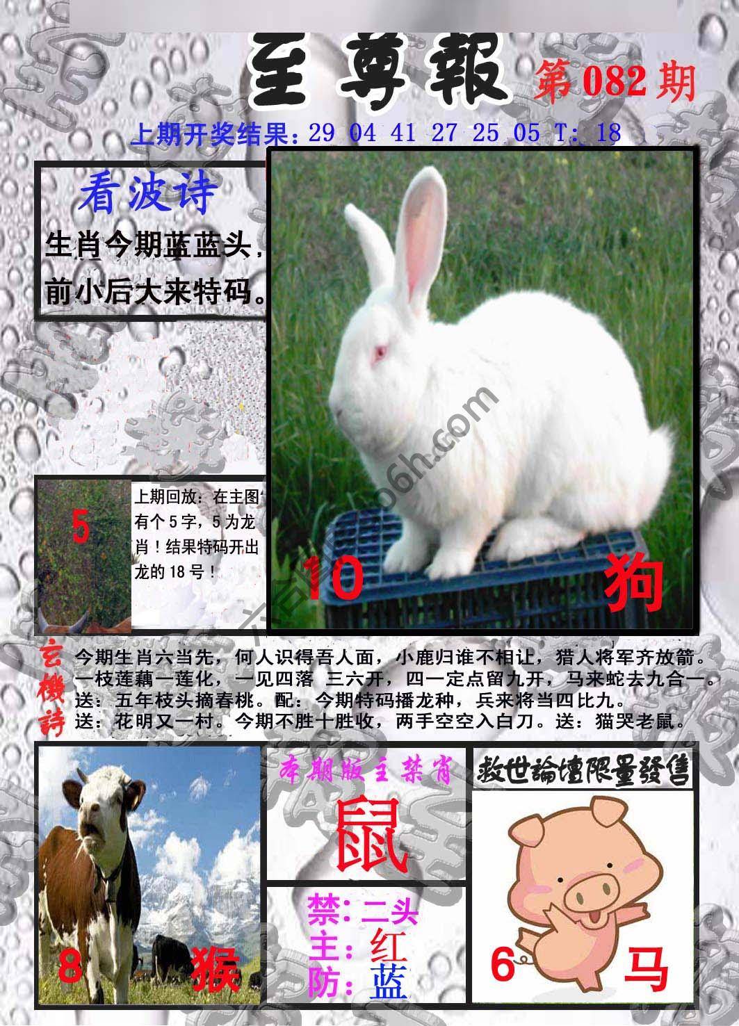 至尊报