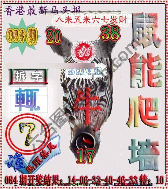 香港马头报