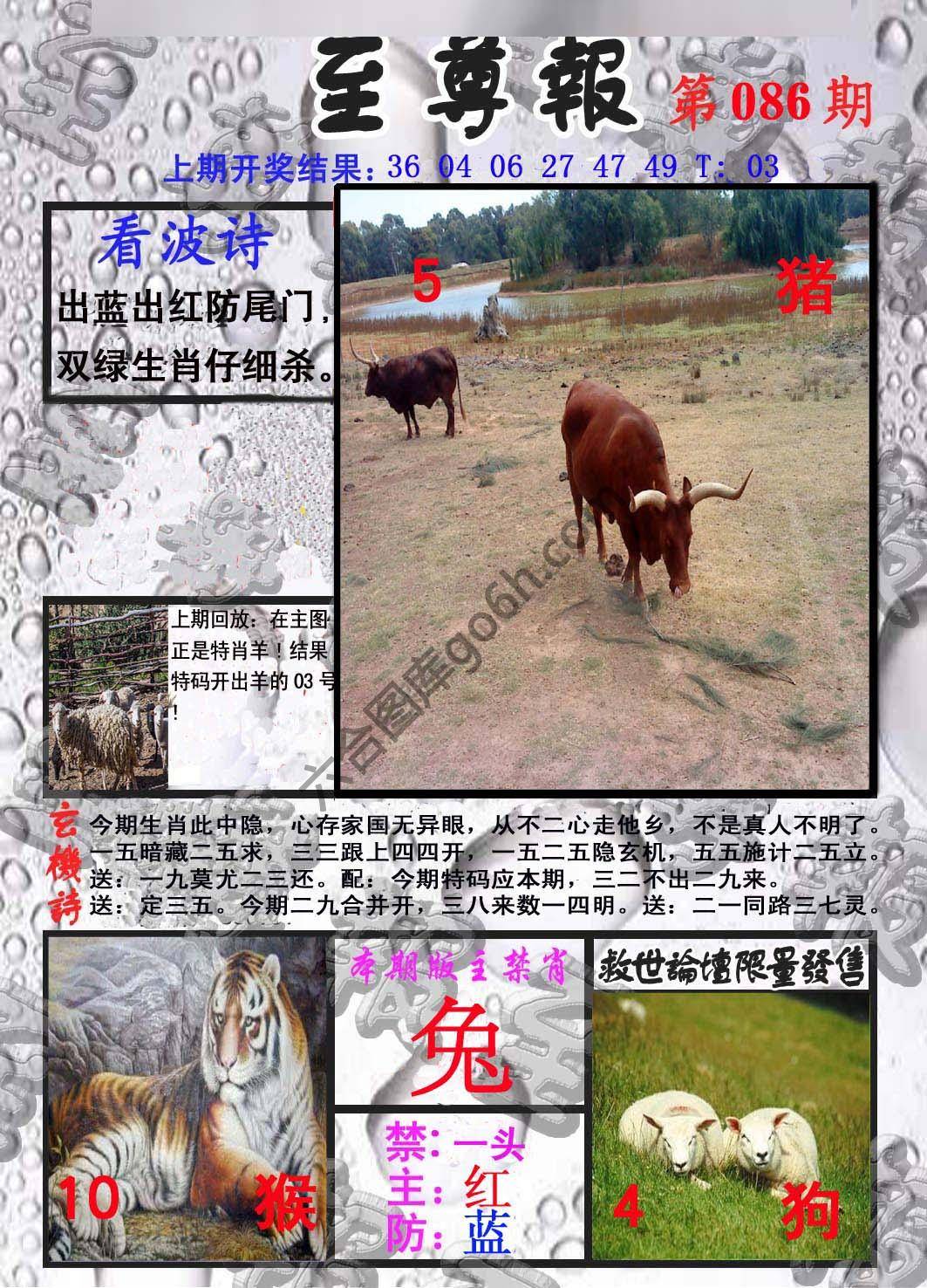 至尊报