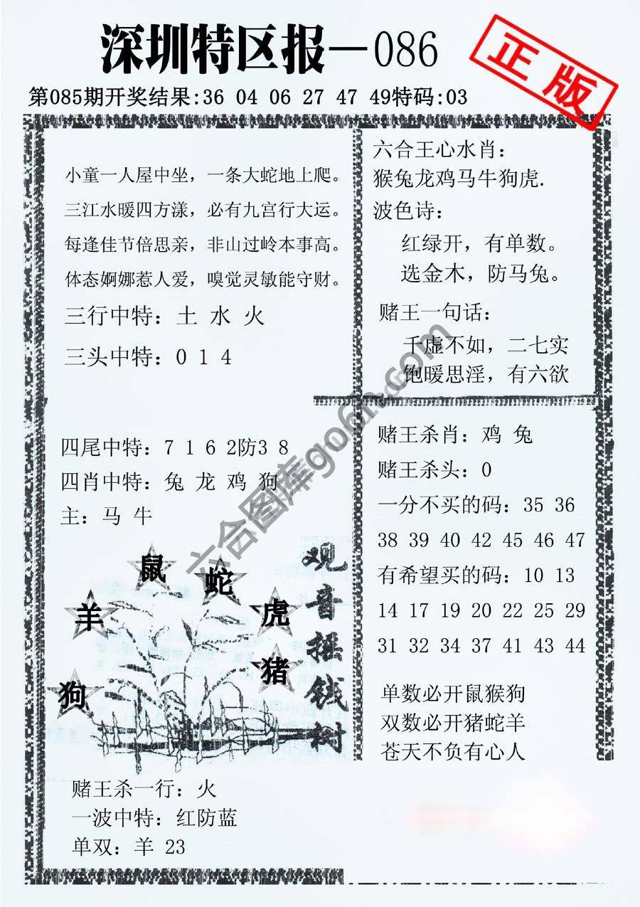 深圳特区报